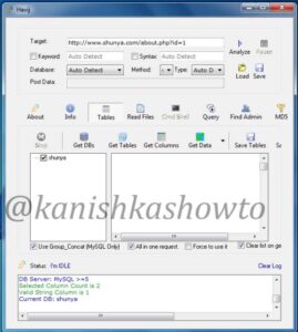 Complete Guide To Havij Sql Injection Tool