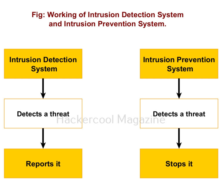 Beginners guide to IDS and IPS - Hackercool Magazine